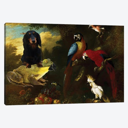 Longhaired Dachshund And Frog Canvas Print #NDG1418} by Nobility Dogs Canvas Artwork