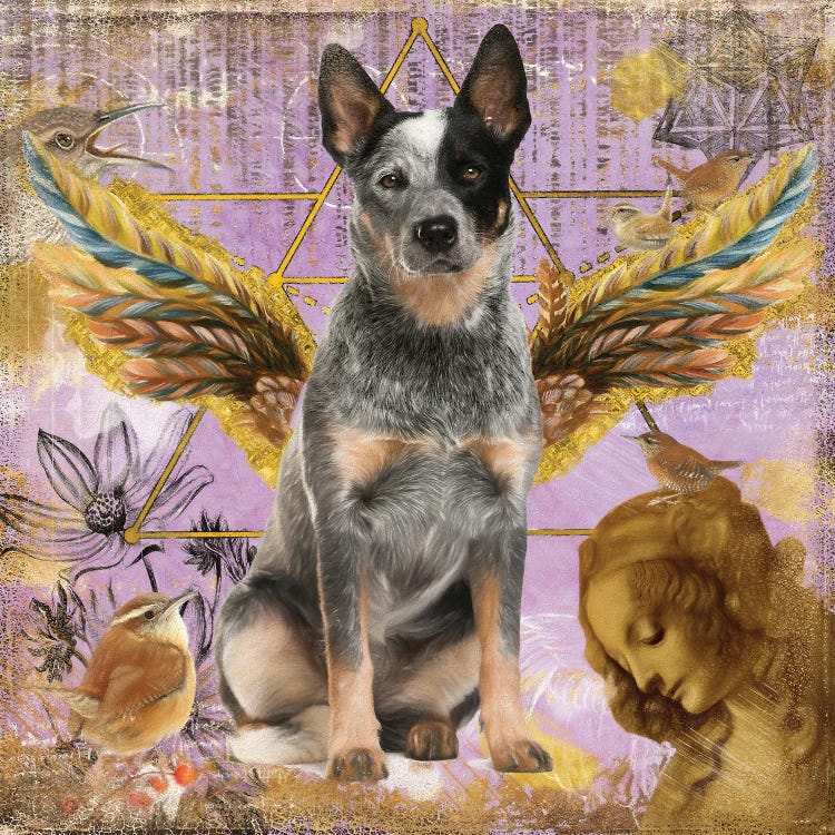 Australian Cattle Dog Blue Heeler Angel