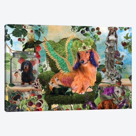 Longhaired Dachshund Berry Paradise Canvas Print #NDG1424} by Nobility Dogs Canvas Art