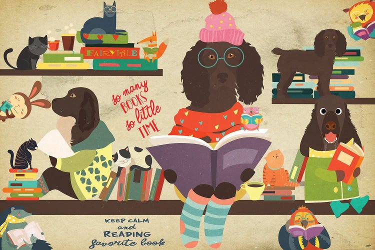 Boykin Spaniel Book Time