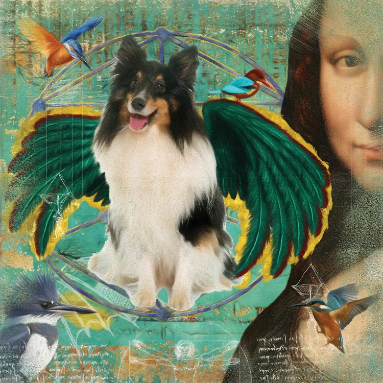 Shetland Sheepdog Tri Color Sheltie Angel