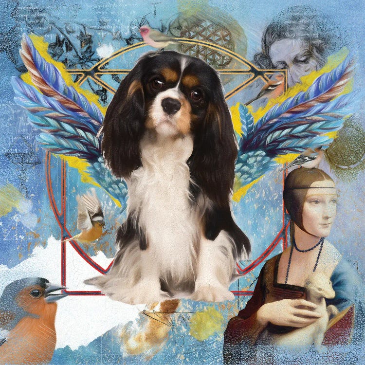 Tri Color Cavalier King Charles Spaniel Angel Da Vinci