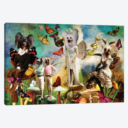 Chinese Crested Dog Fairy Queen Canvas Print #NDG1517} by Nobility Dogs Canvas Art