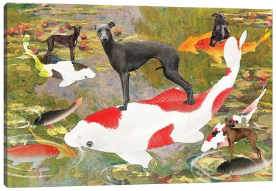 Italian Greyhound Claude Monet Waterlilies Koi Canvas Art Print - Koi Fish Art