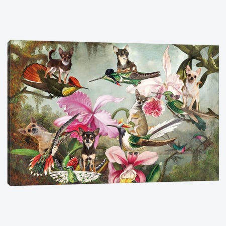 Chihuahua Orchid And Hummingbird Martin Johnson Heade Canvas Print #NDG1527} by Nobility Dogs Art Print