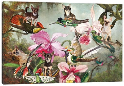Chihuahua Orchid And Hummingbird Martin Johnson Heade Canvas Art Print - Chihuahua Art