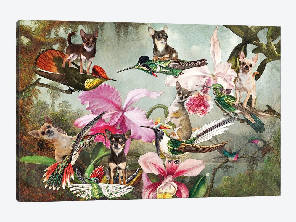 Chihuahua Orchid And Hummingbird Martin Johnson Heade by Nobility Dogs 1-piece Canvas Artwork