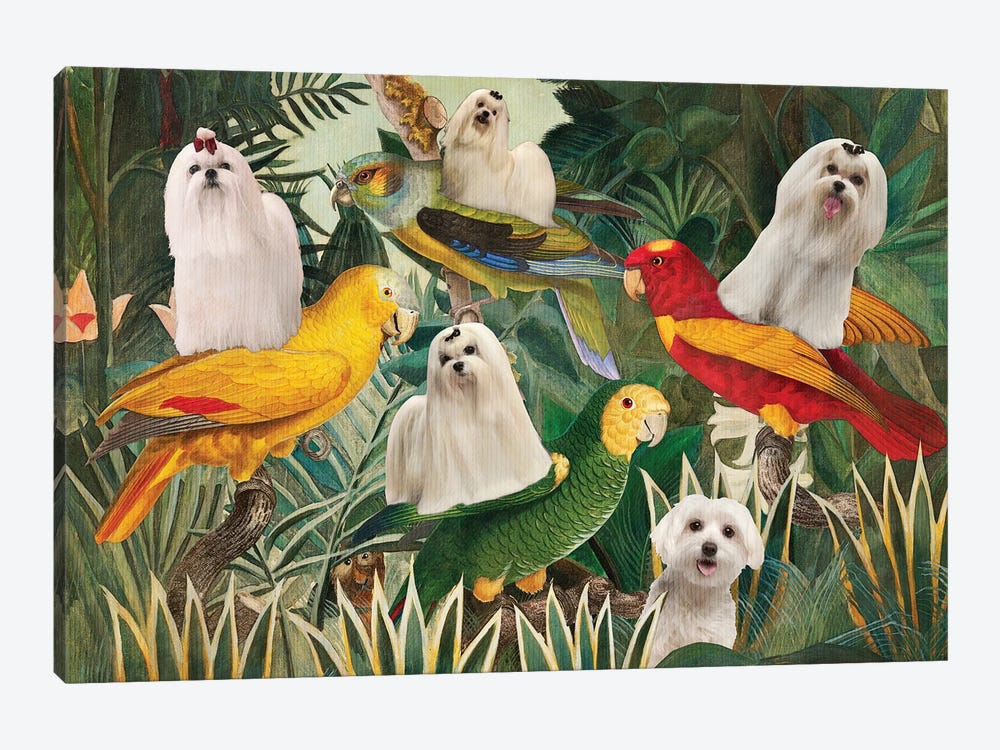Maltese Dog Henri Rousseau Parrots by Nobility Dogs 1-piece Art Print