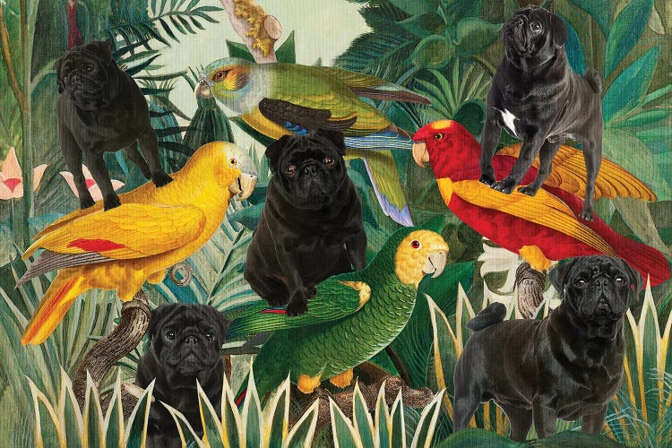 Pug Henri Rousseau Parrots