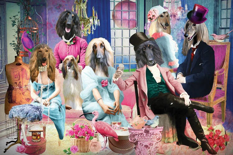 Afghan Hound Pride And Prejudice