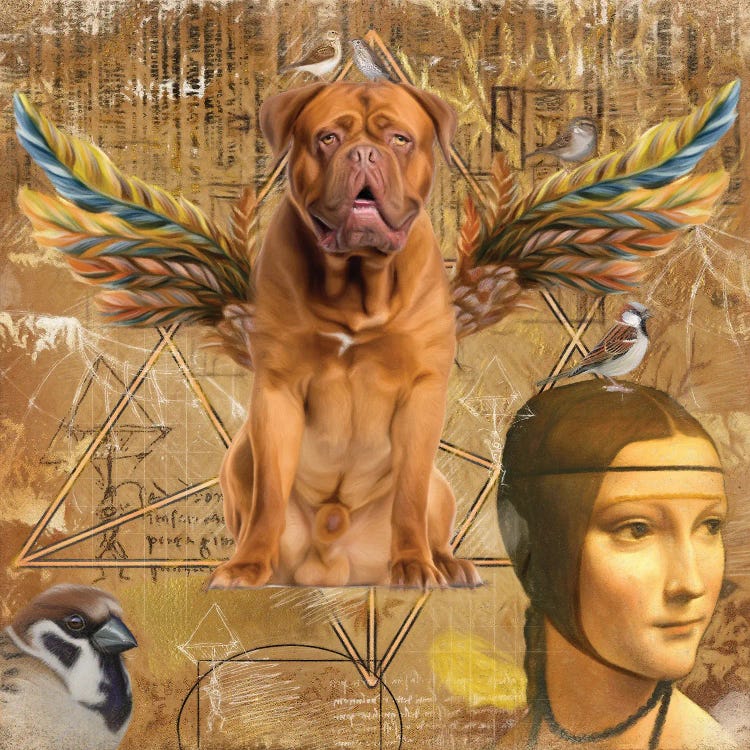 Dogue De Bordeaux Angel Da Vinci