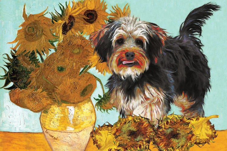 Yorkipoo Sunflowers