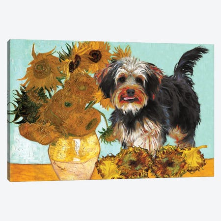 Yorkipoo Sunflowers Canvas Print #NDG1552} by Nobility Dogs Art Print