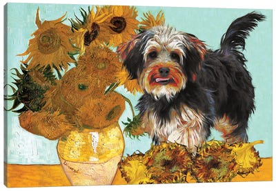 Yorkipoo Sunflowers Canvas Art Print - Yorkshire Terrier Art