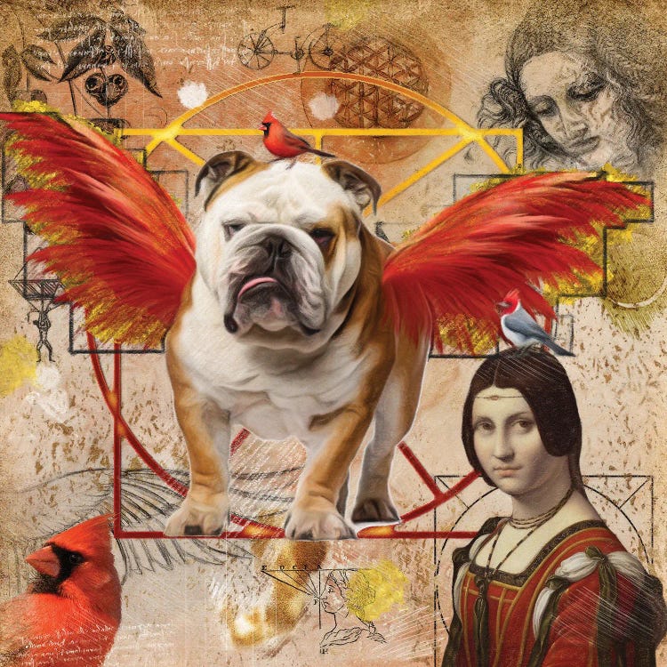 English Bulldog Angel Da Vinci