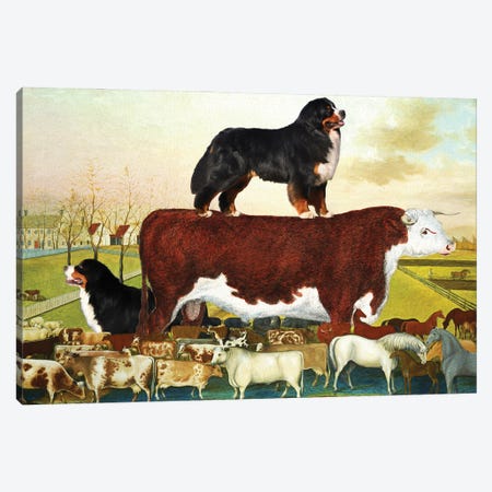 Bernese Mountain Dog The Cornell Farm Canvas Print #NDG1588} by Nobility Dogs Canvas Artwork