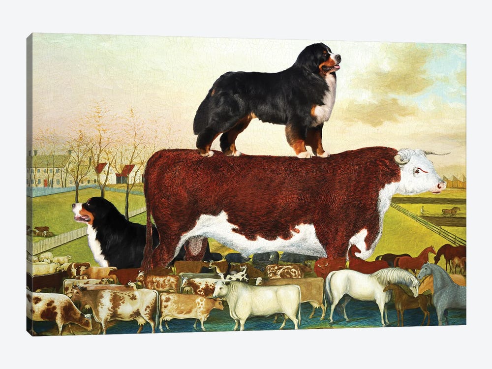 Bernese Mountain Dog The Cornell Farm by Nobility Dogs 1-piece Canvas Print