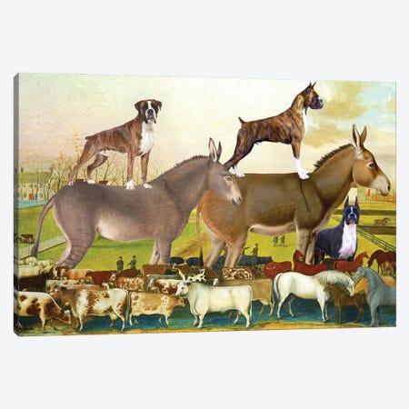 Boxer Dog The Cornell Farm Canvas Print #NDG1589} by Nobility Dogs Canvas Art