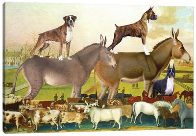 Boxer Dog The Cornell Farm Canvas Art Print - Donkey Art
