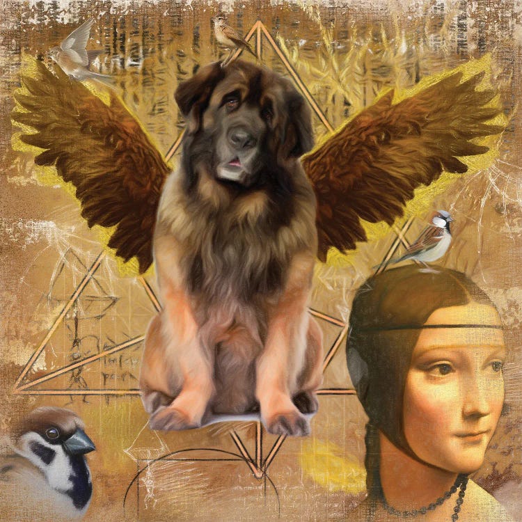 Leonberger Angel Da Vinci