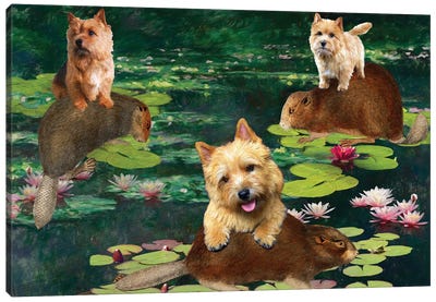 Norwich Terrier Claude Monet Waterlilies Canvas Art Print