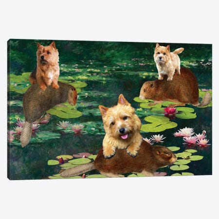 Norwich Terrier Claude Monet Waterlilies Canvas Print #NDG1610} by Nobility Dogs Canvas Wall Art