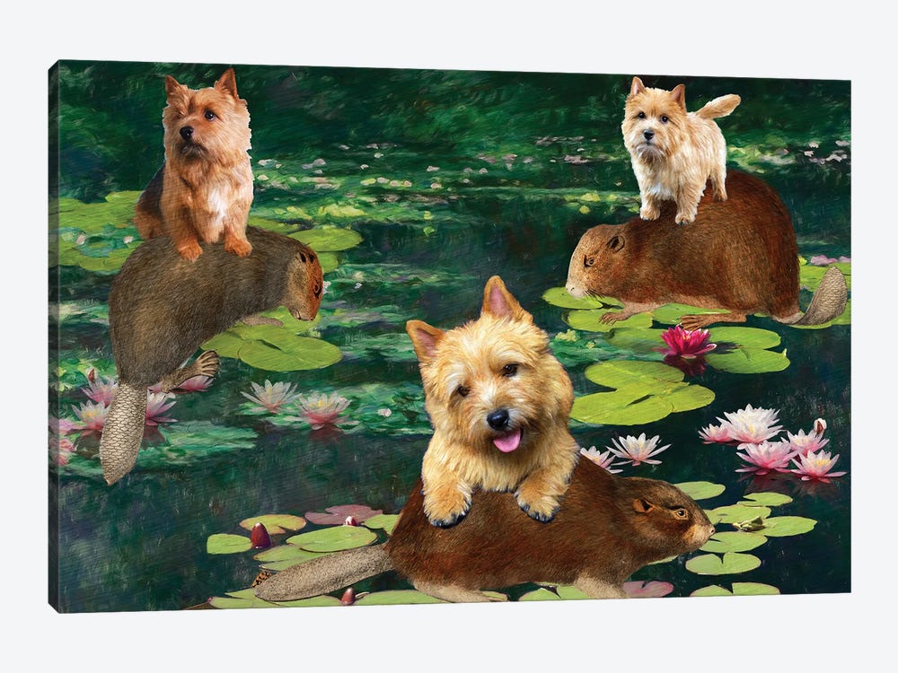 Norwich Terrier Claude Monet Waterlilies by Nobility Dogs 1-piece Canvas Wall Art