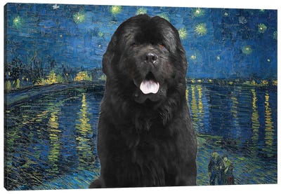 Newfoundland Dog Starry Night Over The Rhone Canvas Art Print
