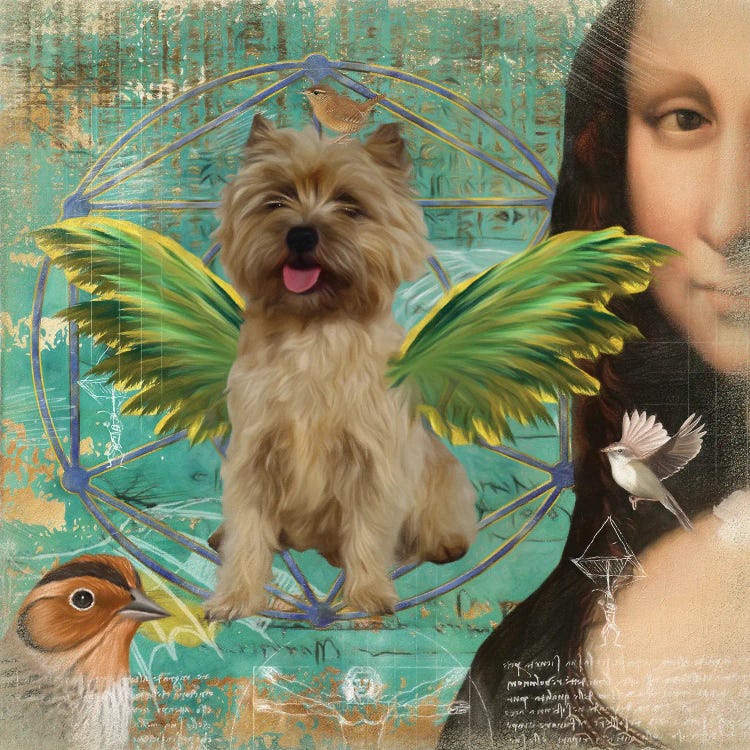 Cairn Terrier Angel Da Vinci