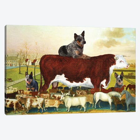 Australian Cattle Dog The Cornell Farm Canvas Print #NDG1752} by Nobility Dogs Canvas Print