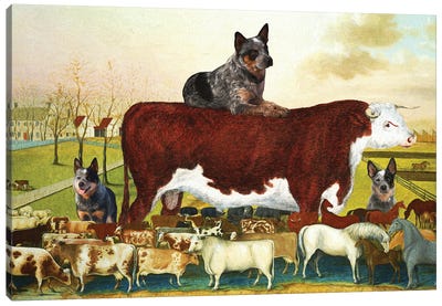 Australian Cattle Dog The Cornell Farm Canvas Art Print - Australian Cattle Dogs