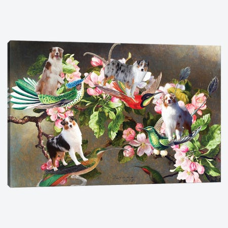 Australian Shepherd, Hummingbirds And Apple Blossoms Canvas Print #NDG1754} by Nobility Dogs Canvas Wall Art