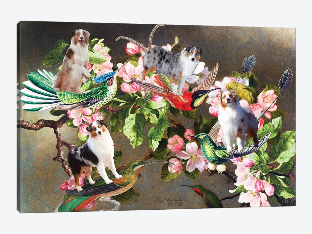 Australian Shepherd, Hummingbirds And Apple Blossoms by Nobility Dogs 1-piece Art Print