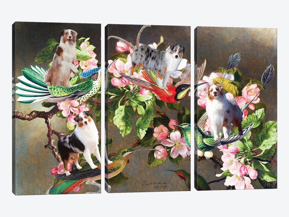 Australian Shepherd, Hummingbirds And Apple Blossoms by Nobility Dogs 3-piece Canvas Art Print