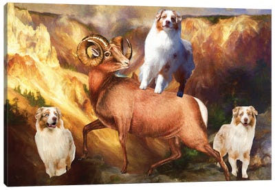 Australian Shepherd Grand Canyon Bighorn Canvas Art Print - Australian Shepherd Art