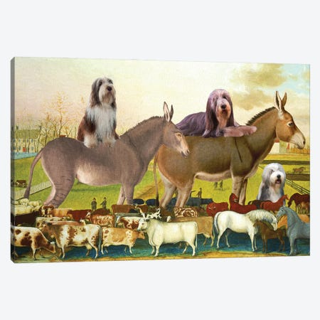 Bearded Collie The Cornell Farm Canvas Print #NDG1756} by Nobility Dogs Canvas Artwork