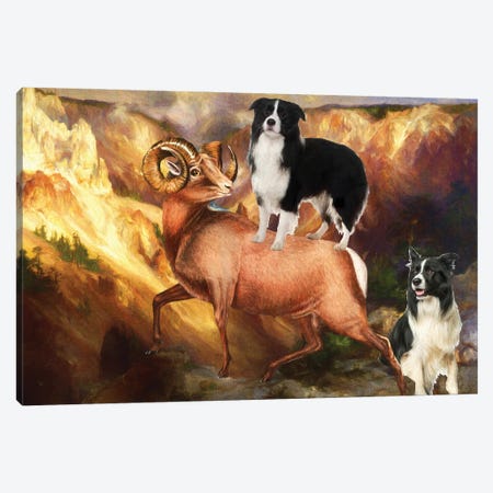 Border Collie Grand Canyon Bighorn Canvas Print #NDG1757} by Nobility Dogs Canvas Art