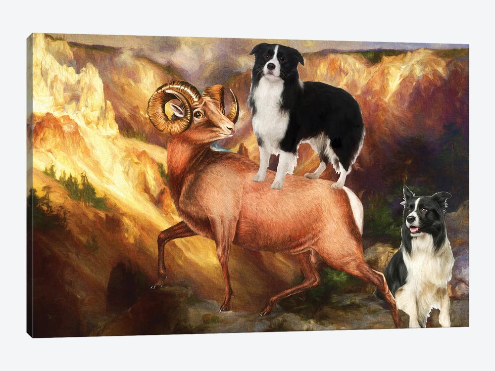 Border Collie Grand Canyon Bighorn by Nobility Dogs 1-piece Canvas Wall Art
