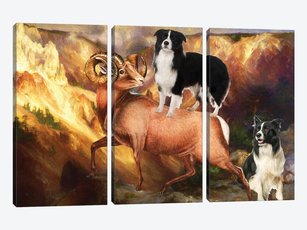 Border Collie Grand Canyon Bighorn by Nobility Dogs 3-piece Canvas Art
