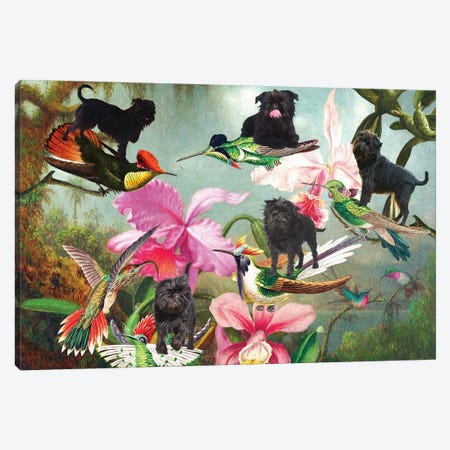 Affenpinscher, Orchid And Hummingbird Canvas Print #NDG1759} by Nobility Dogs Canvas Art Print