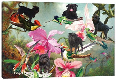 Affenpinscher, Orchid And Hummingbird Canvas Art Print - Orchid Art
