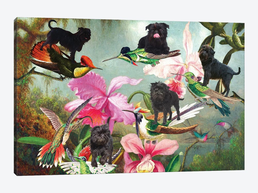 Affenpinscher, Orchid And Hummingbird by Nobility Dogs 1-piece Canvas Wall Art