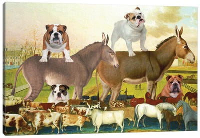 English Bulldog The Cornell Farm Canvas Art Print - Donkey Art