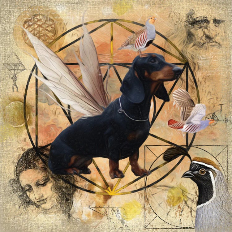 Black Dachshund Angel