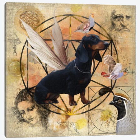 Black Dachshund Angel Canvas Print #NDG179} by Nobility Dogs Canvas Art