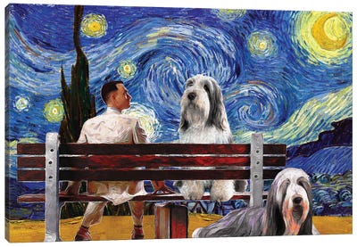 Bearded Collie Starry Night Forrest Gump Canvas Art Print