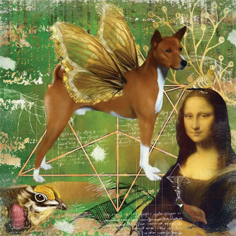 Basenji Angel Da Vinci