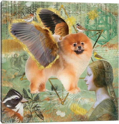 Pomeranian Angel Da Vinci Canvas Art Print - Pomeranian Art