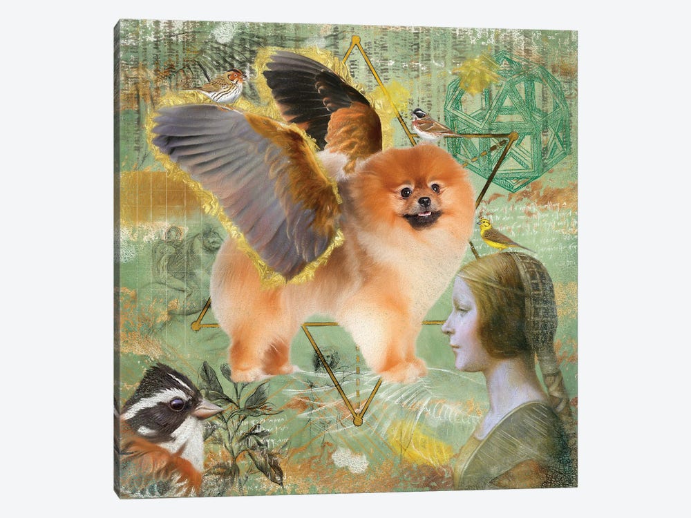 Pomeranian Angel Da Vinci by Nobility Dogs 1-piece Canvas Print