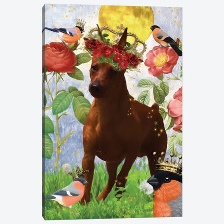 Crowned Miniature Pinscher And Bullfinch Canvas Print #NDG1873} by Nobility Dogs Canvas Wall Art